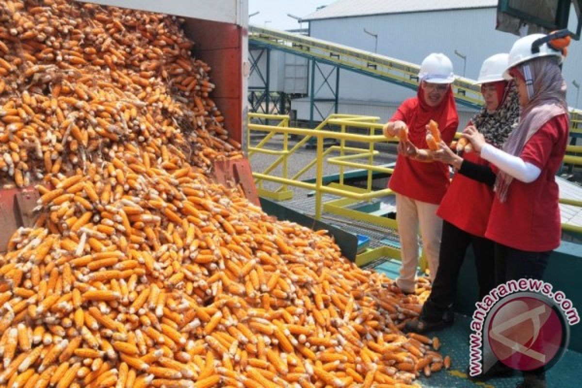 Pemkab Mojokerto Gandeng Mosanto Tingkatkan Kesejahteraan Petani