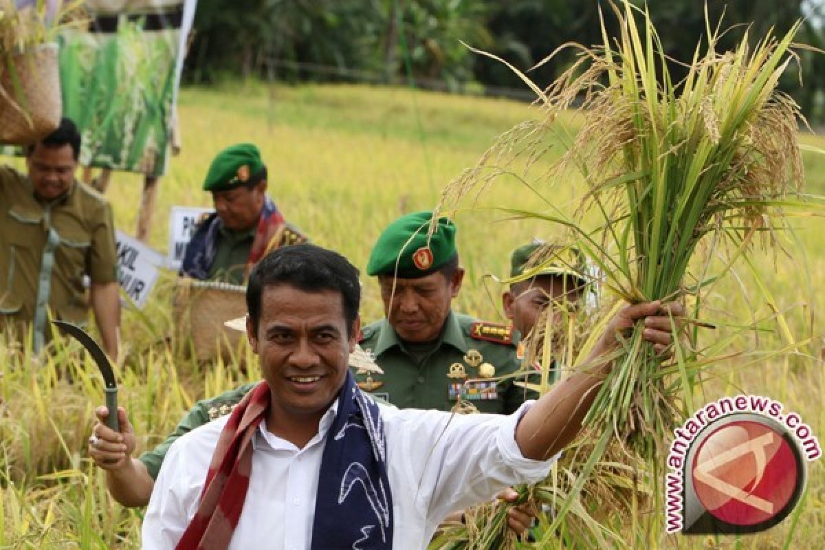 Mentan Luncurkan Program Serap Gabah