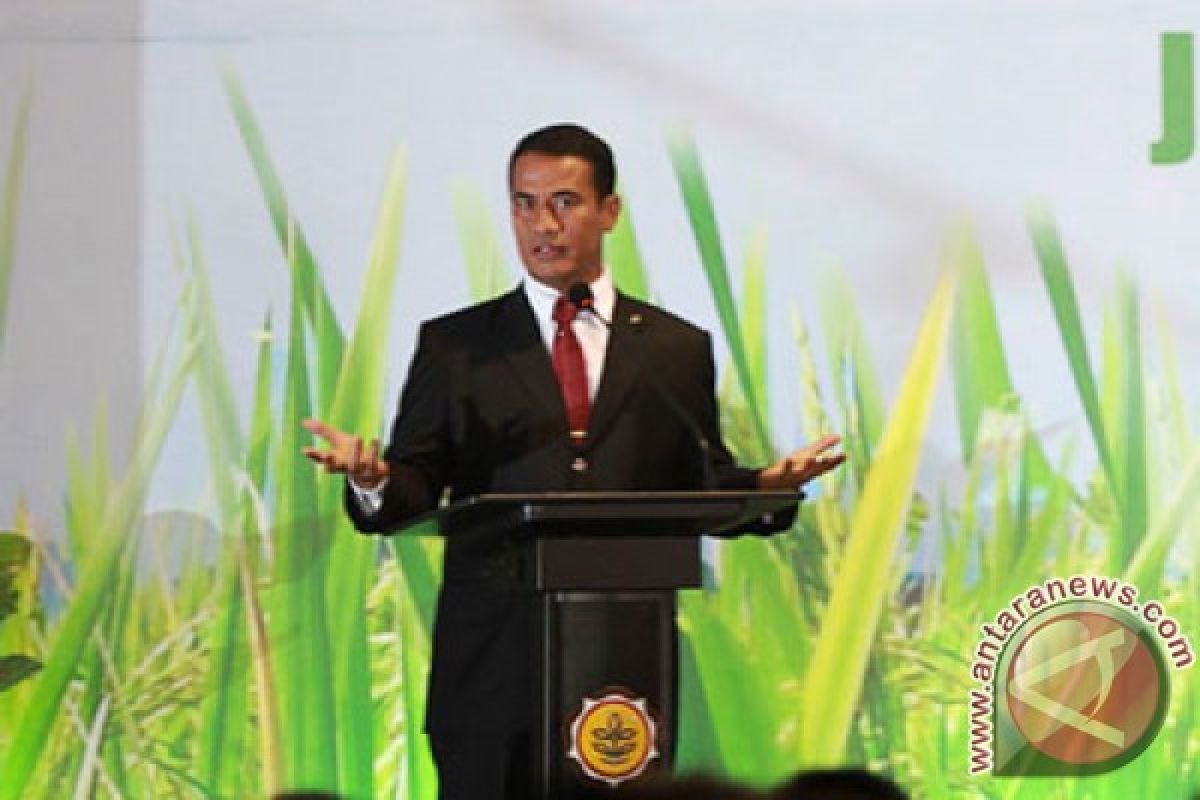 Pemerintah bergerak cepat atasi pangan di Indonesia