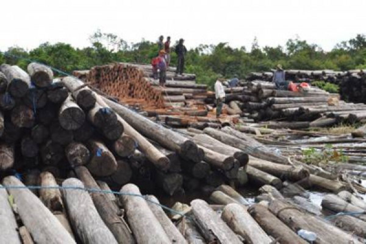 WWF-Asmindo: Kota Pasuruan pioner penerapan SVLK