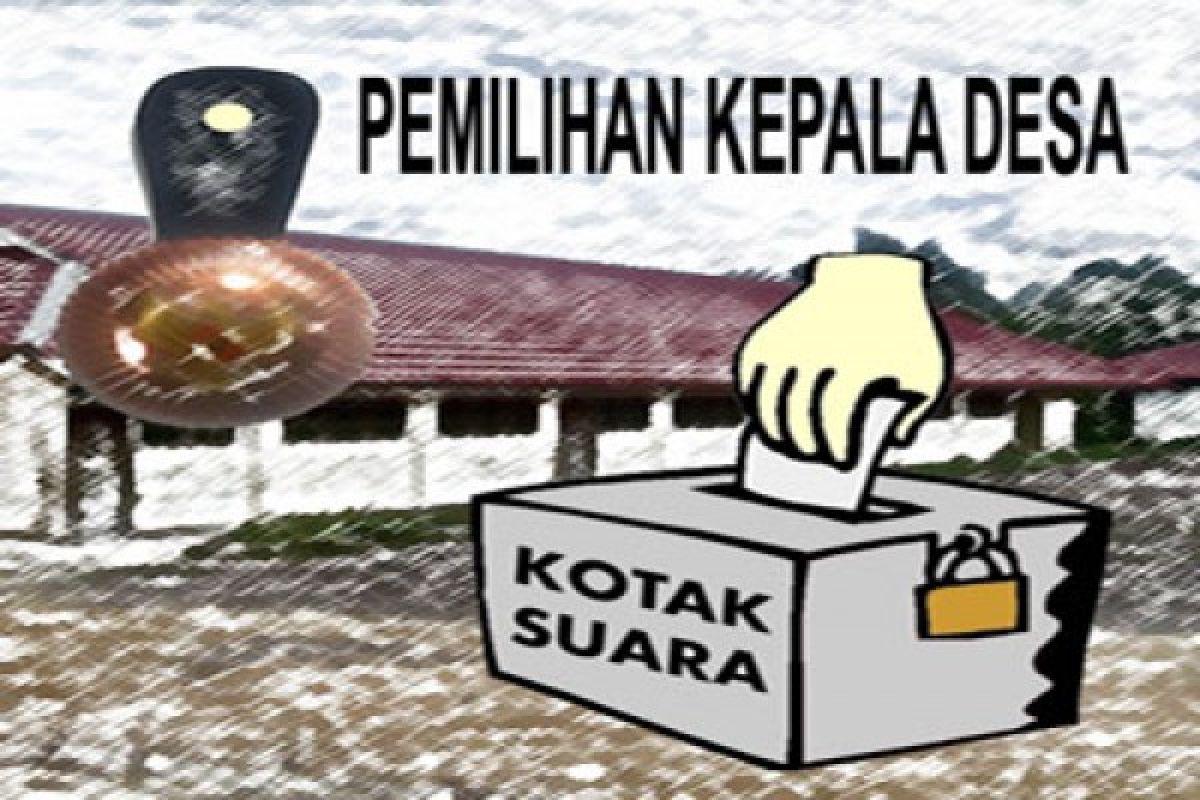 56 peserta ikut memperebutkan jabatan kepala desa di Kulon Progo