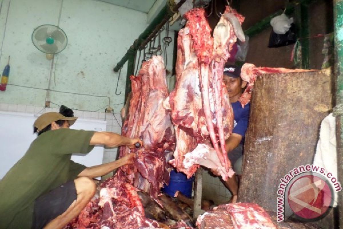 Asosiasi: Pedagang Bojonegoro Tidak Jual Babi Hutan