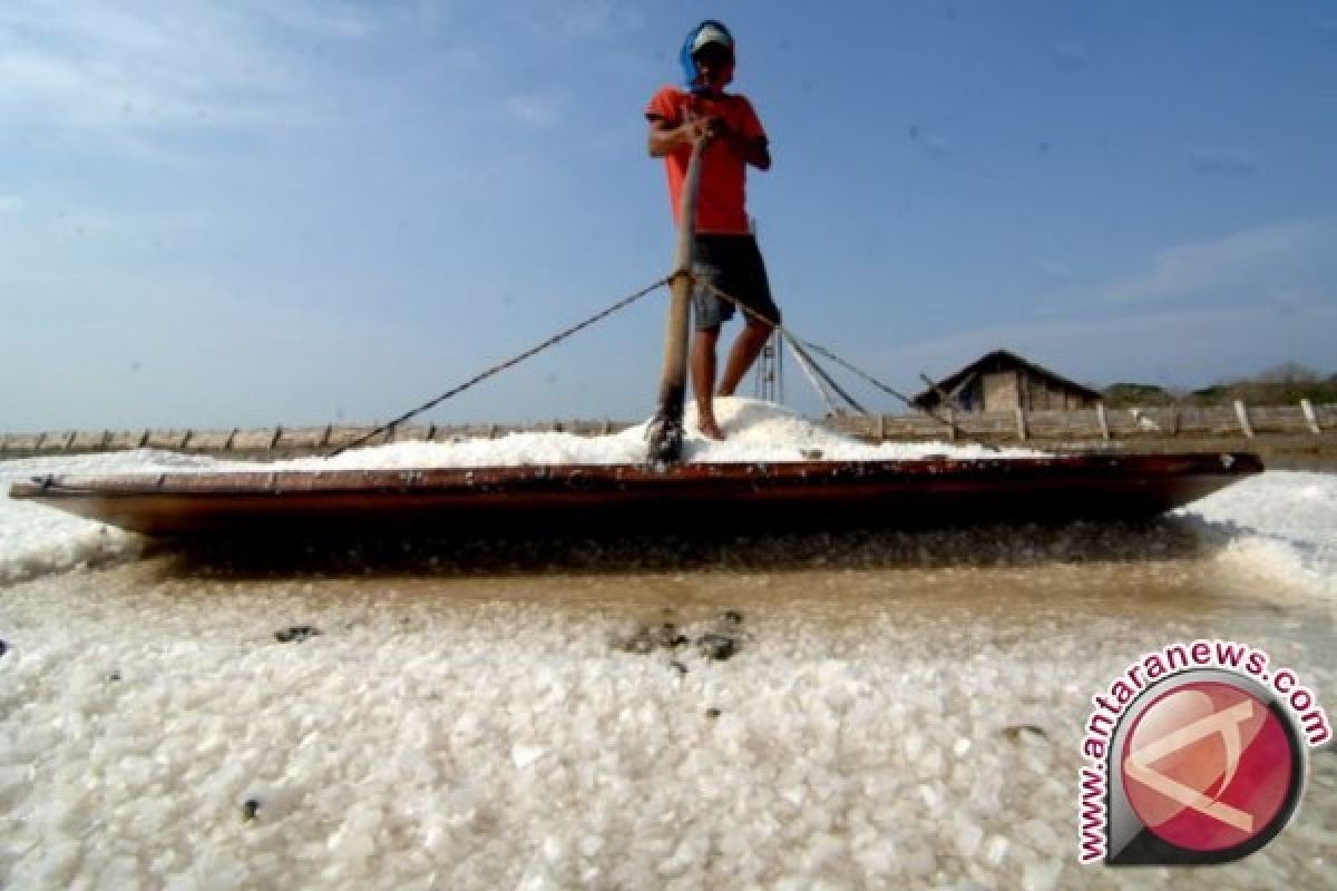 Disperindag : stok garam Sumut 30.000 ton