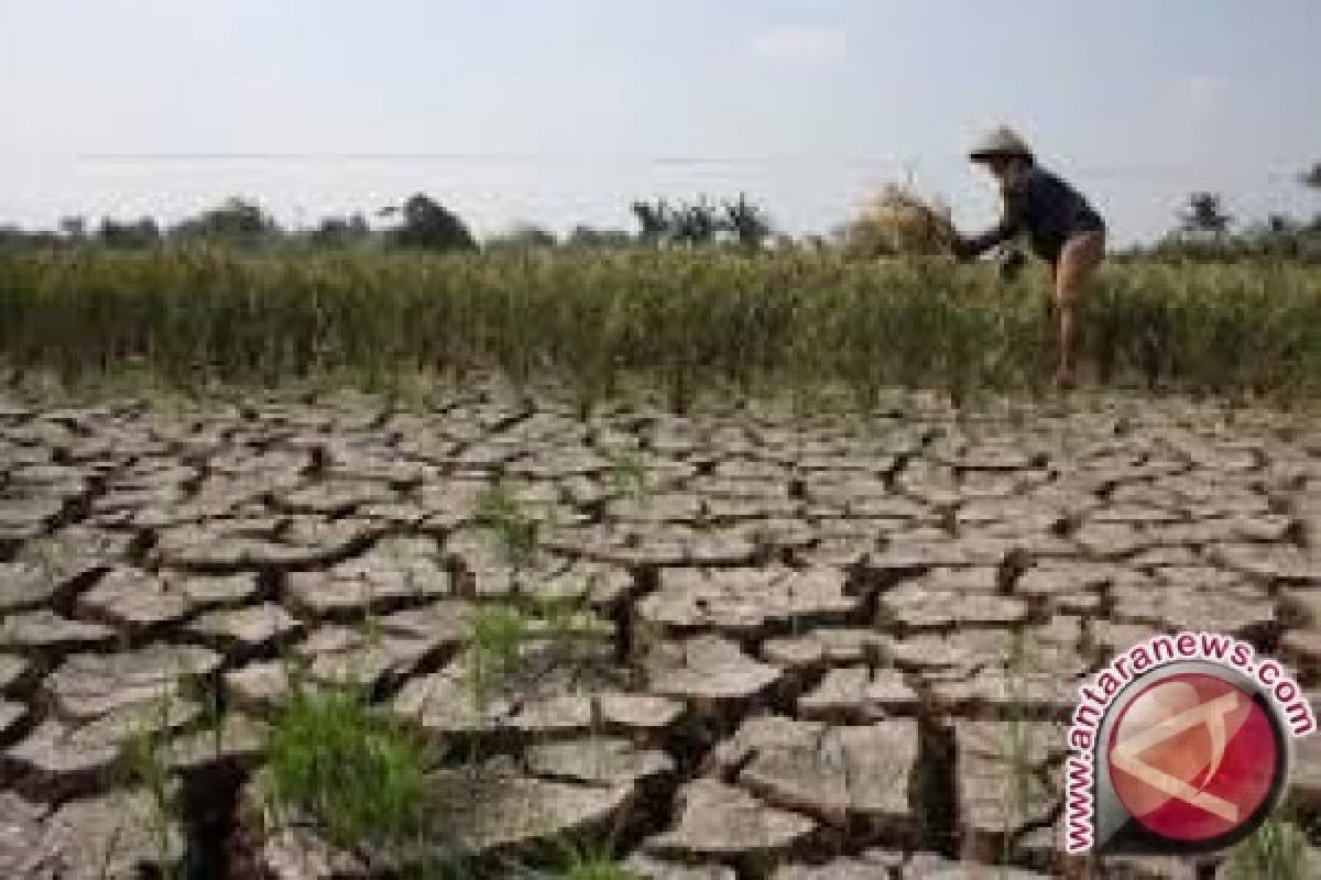 BMKG: Wilayah Sulteng Masih Kemarau 