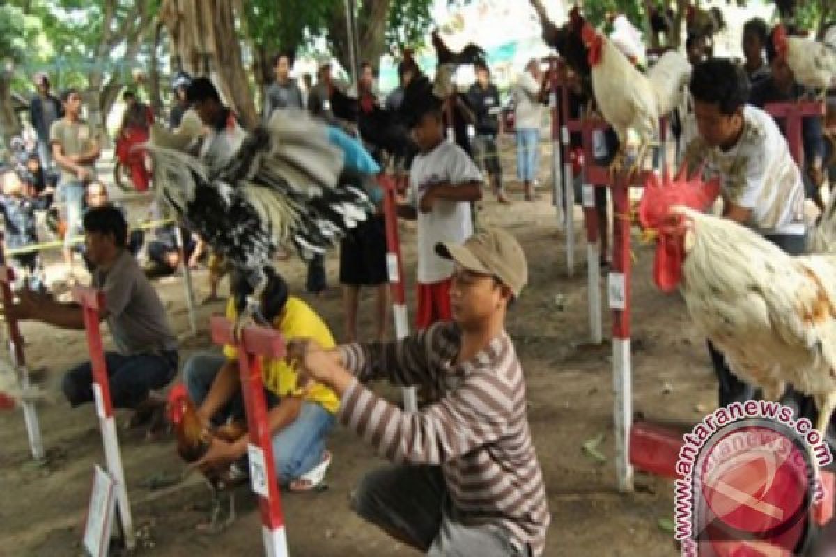 Lampung Tuan Rumah Festival Ayam dan Telur 