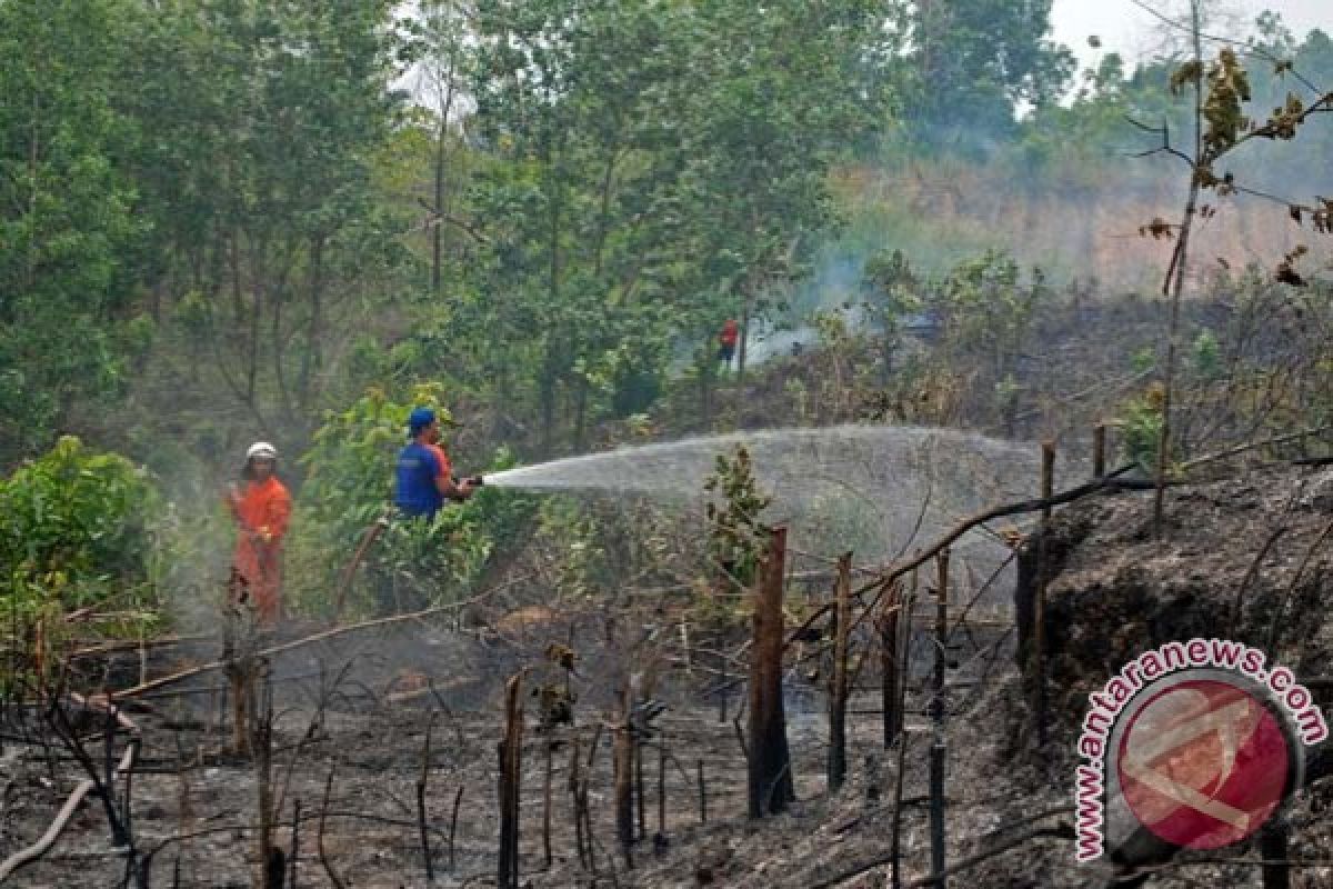 Titik panas Sumatera turun drastis