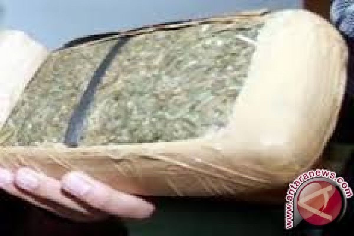 Petugas Bandara Kualanamu Gagalkan Pengiriman Ganja 