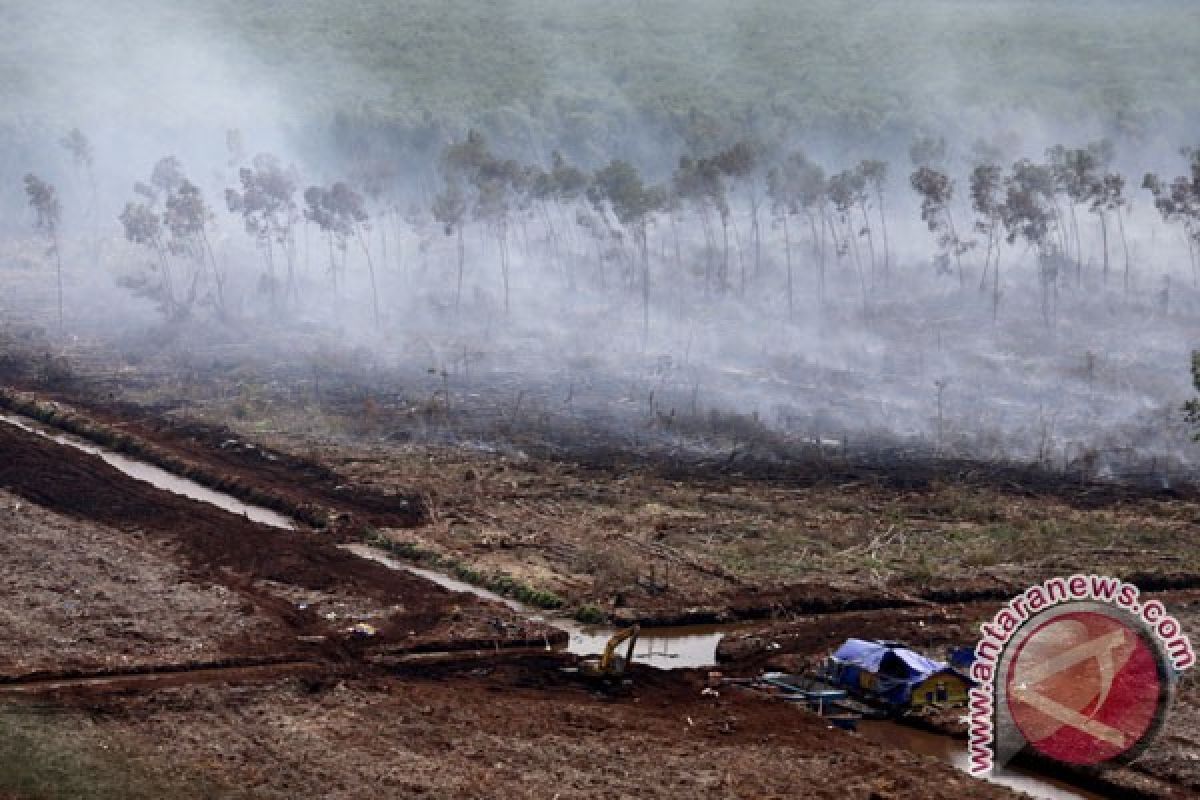 Kebakaran hutan masih berpotensi terjadi selama bulan ini