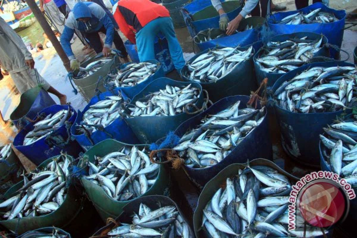Indonesia should become trendsetter in fishery sector: Ministry