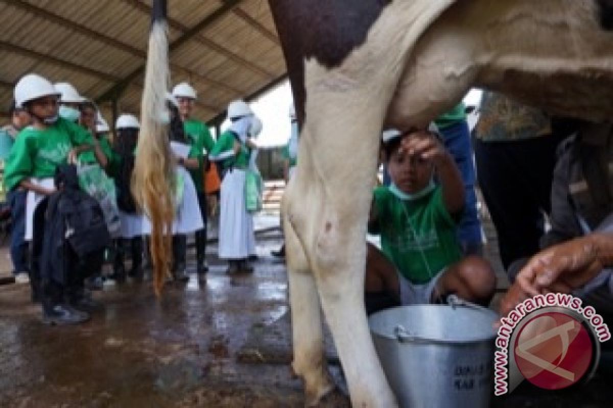 Pasuruan Kembangkan Wisata Edukasi UPTD Ternak Sapi