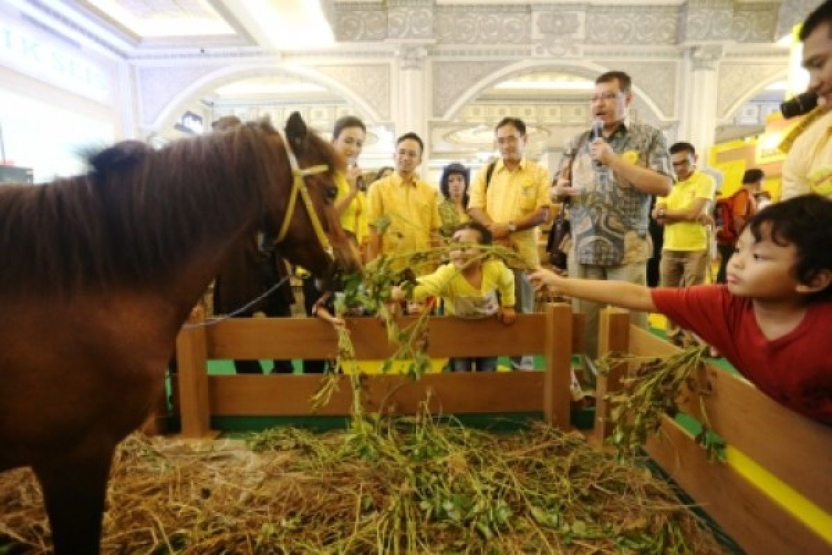 Pakar: nutrisi tepat dukung tumbuh kembang anak 