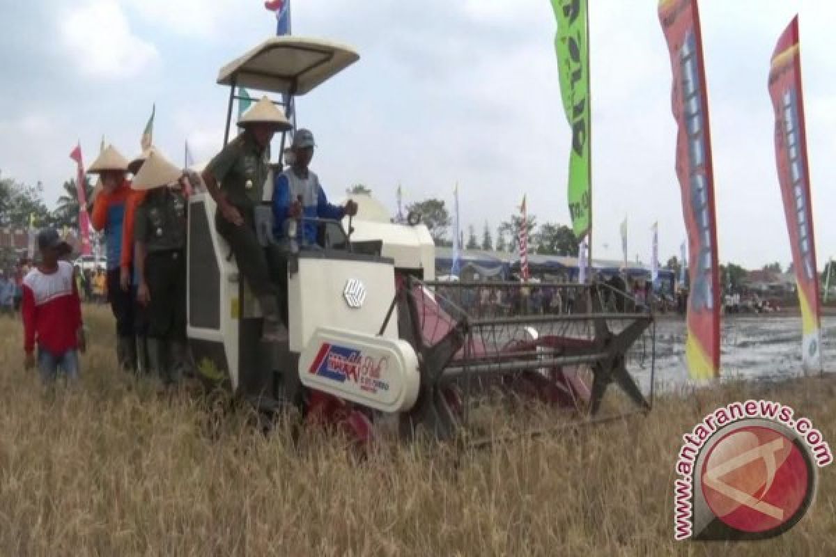 Produksi padi lebak Ogan Ilir 4,5 ton/ha