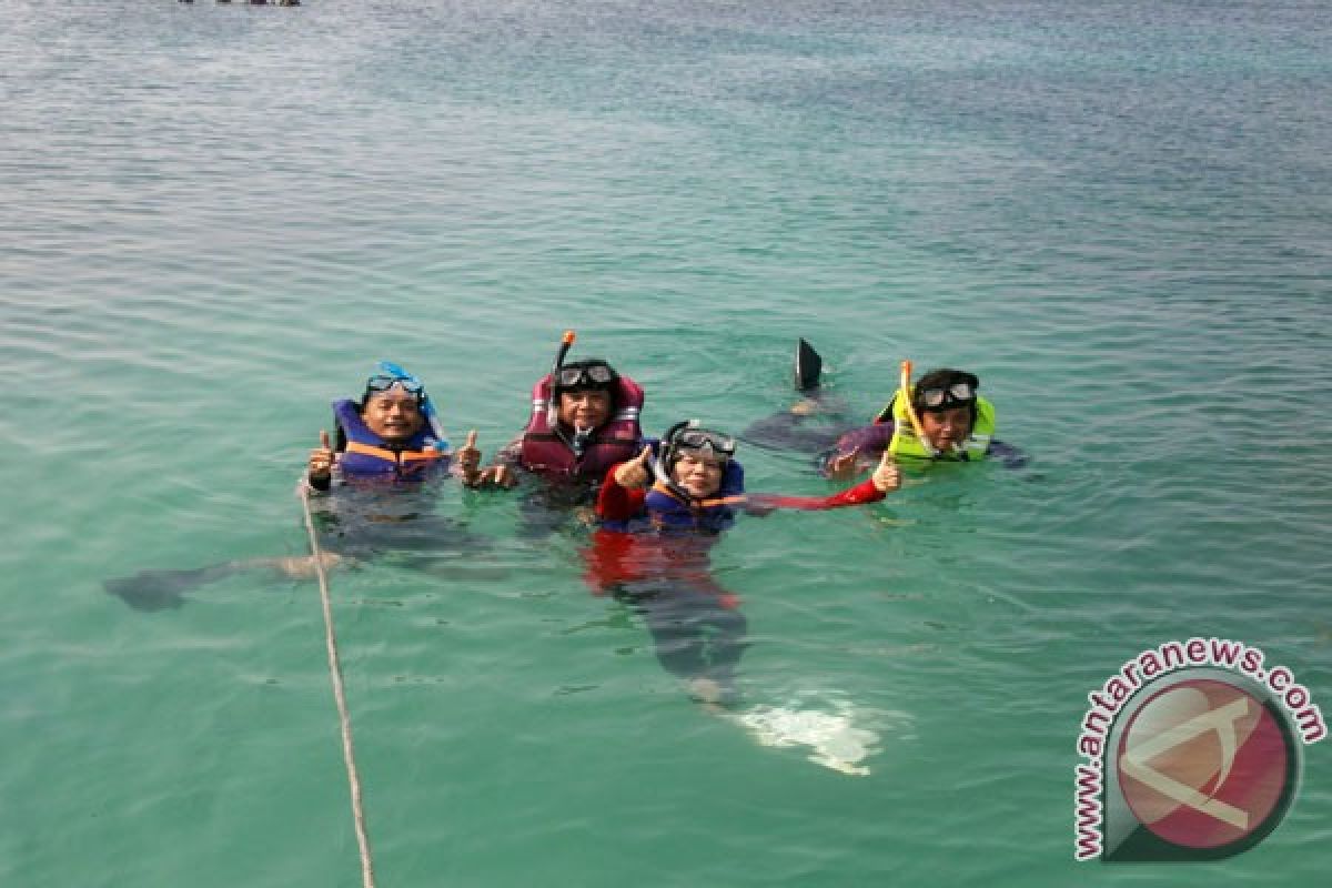 Menikmati Sensasi "Bersnorkeling-ria" di Pulau Pahawang Lampung
