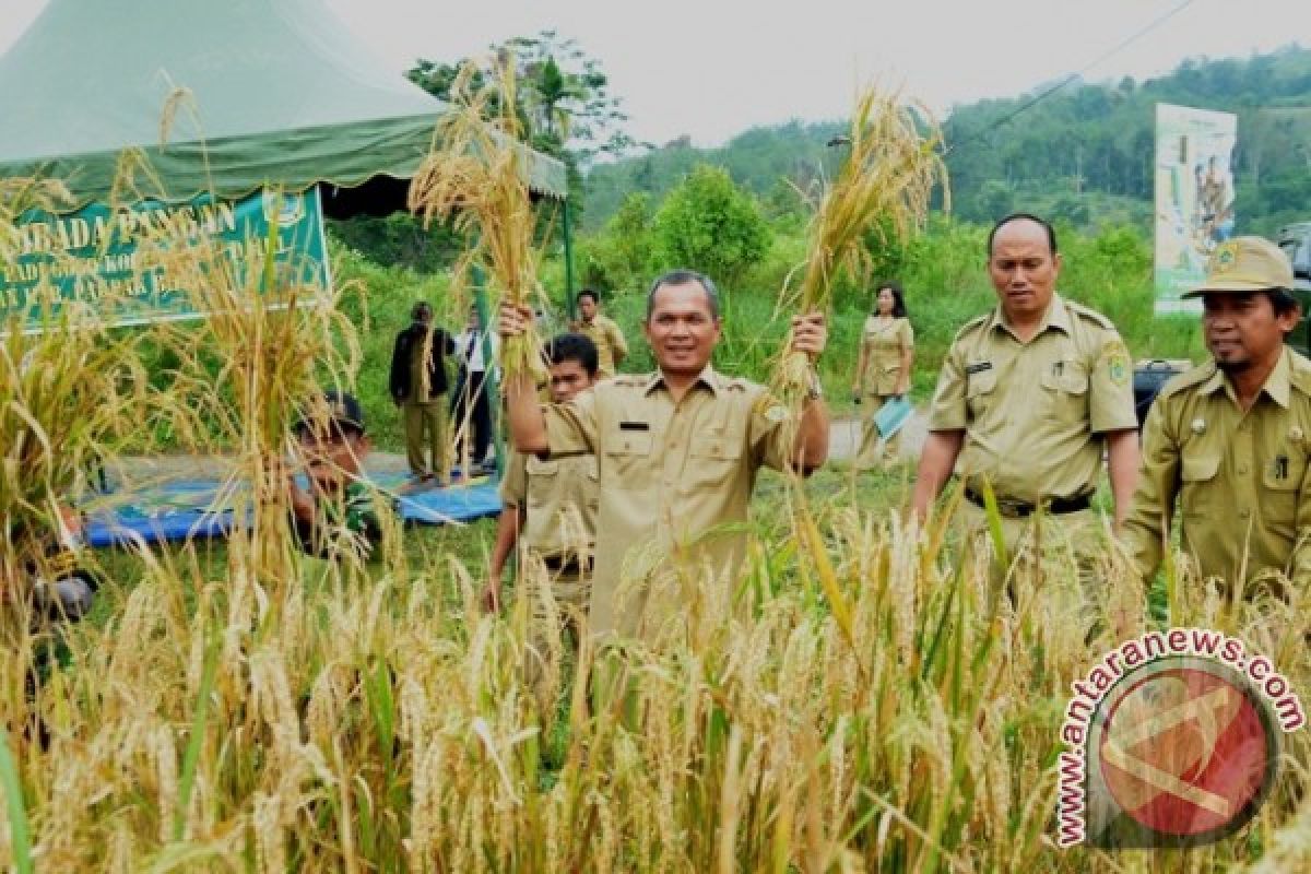 Panen Perdana di Lahan Percontohan Ketahanan Pangan