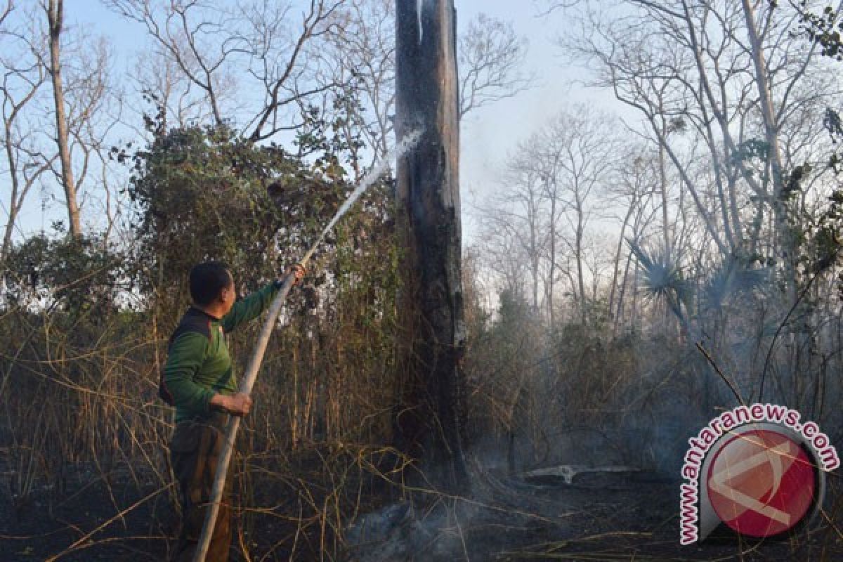 Asap tebal riau cemari udara Tanjungpinang