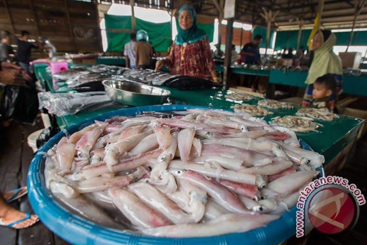 Natuna dinilai layak jadi percontohan industri perikanan nasional