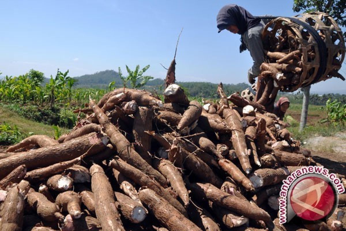 Strategi Jawa Tengah antisipasi krisis pangan