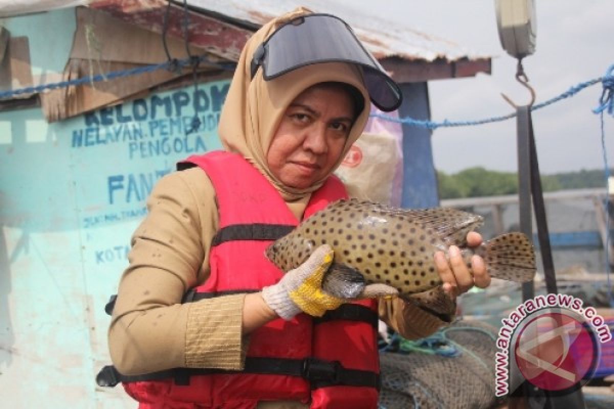 DPKP Bontang Dorong Pengembangan Budidaya Ikan Kerapu