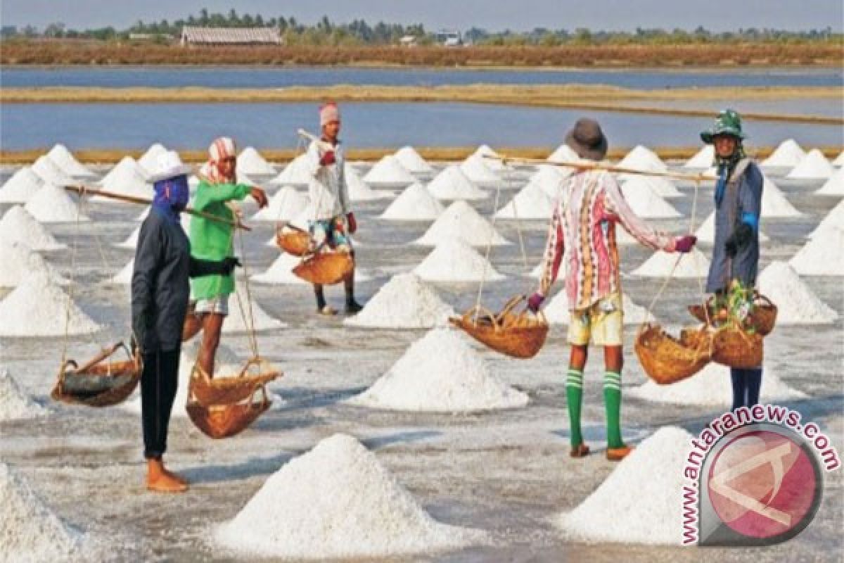 Petani Garam Madura Surati Presiden