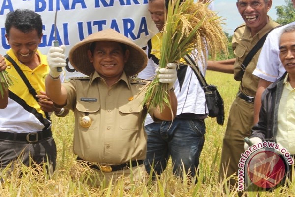 Hulu Sungai Utara Kembali Panen Raya Padi