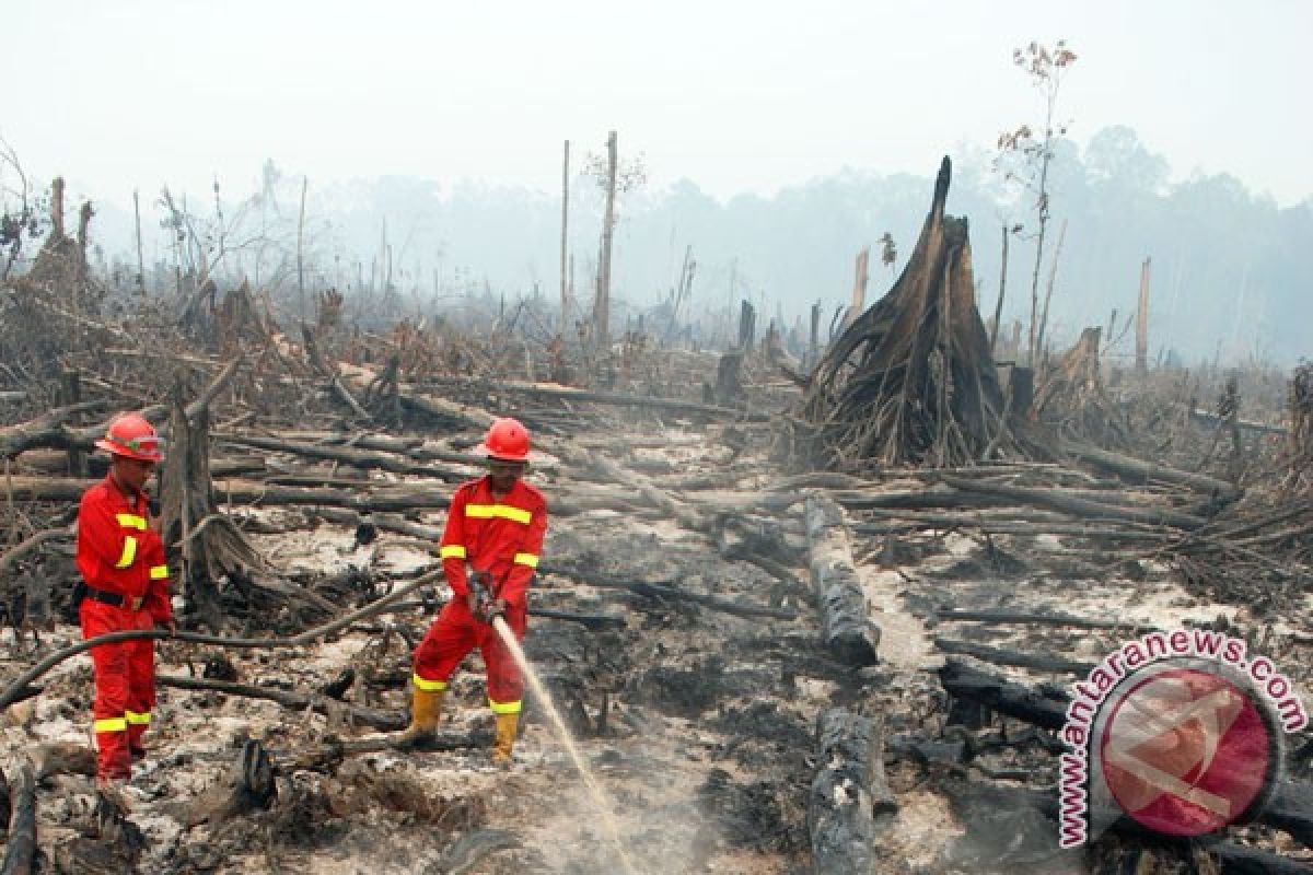 100 hektare hutan Bengkulu terbakar