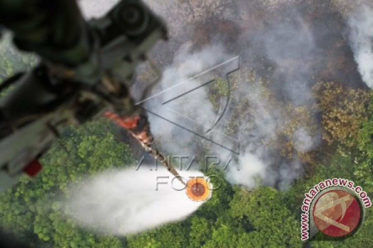 Akibat Kebakaran Lahan Meningkat, Kabupaten Ini Minta Helikopter Pengebom Air