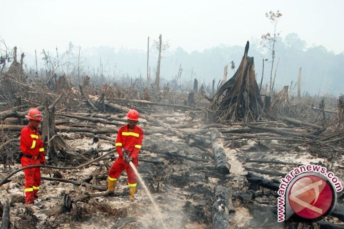 Waspadai Potensi Karhutla di Sumatera-Kalimantan