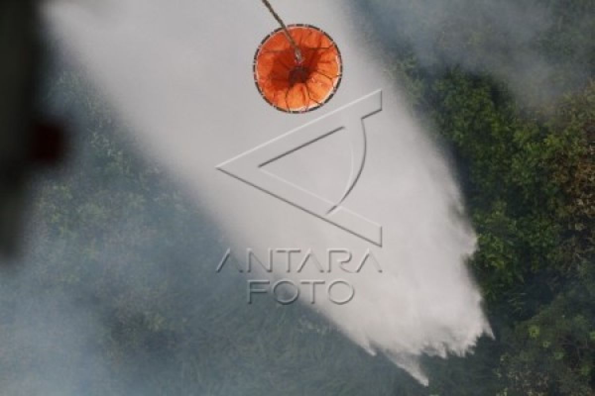 Kabut Asap Sekadau Dipengaruhi Kebakaran Luar Daerah