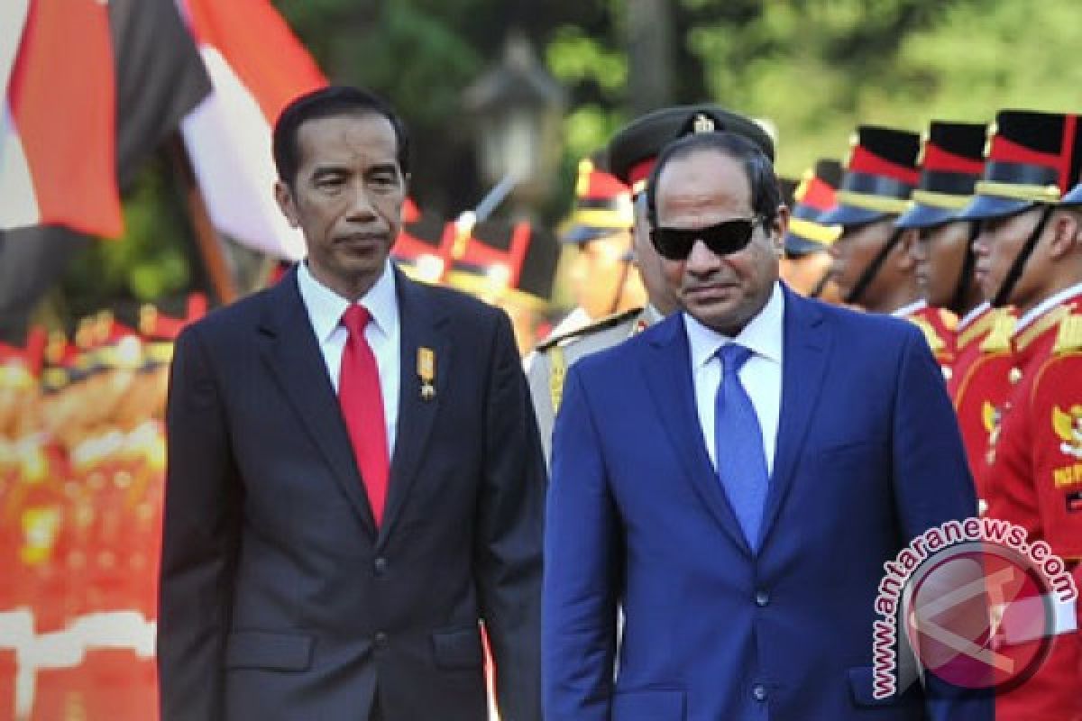 Presiden Jokowi apresiasi peresmian Terusan Suez baru