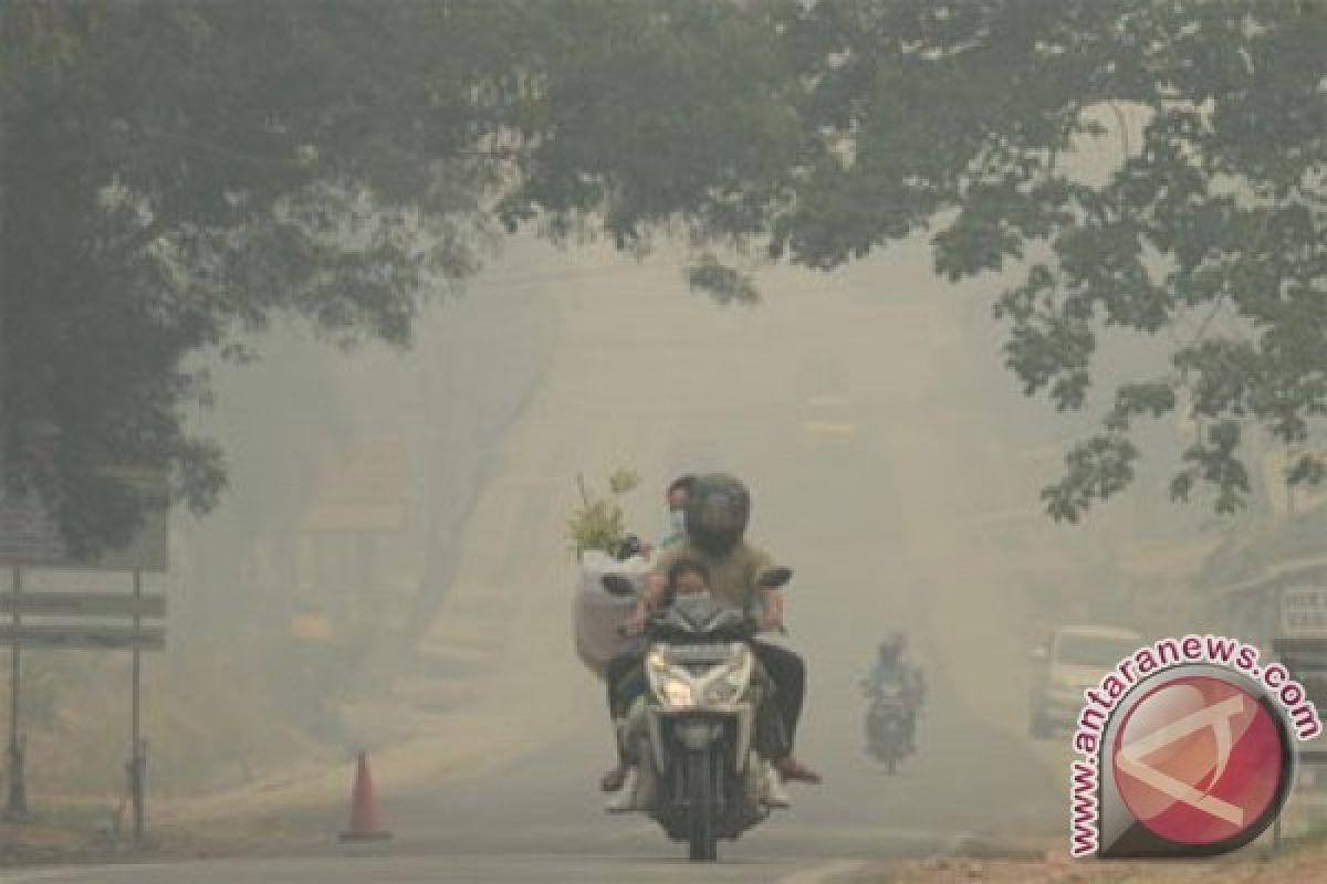 Walhi desak pemerintah tetapkan bencana nasional kabut asap