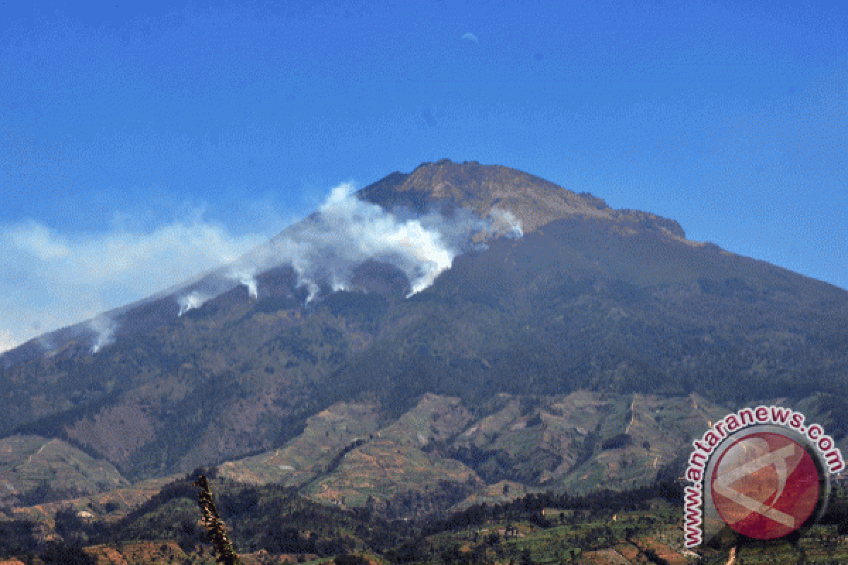 Polisi tahan pelaku peserta pelatihan mencurigakan di Gunung Sumbing