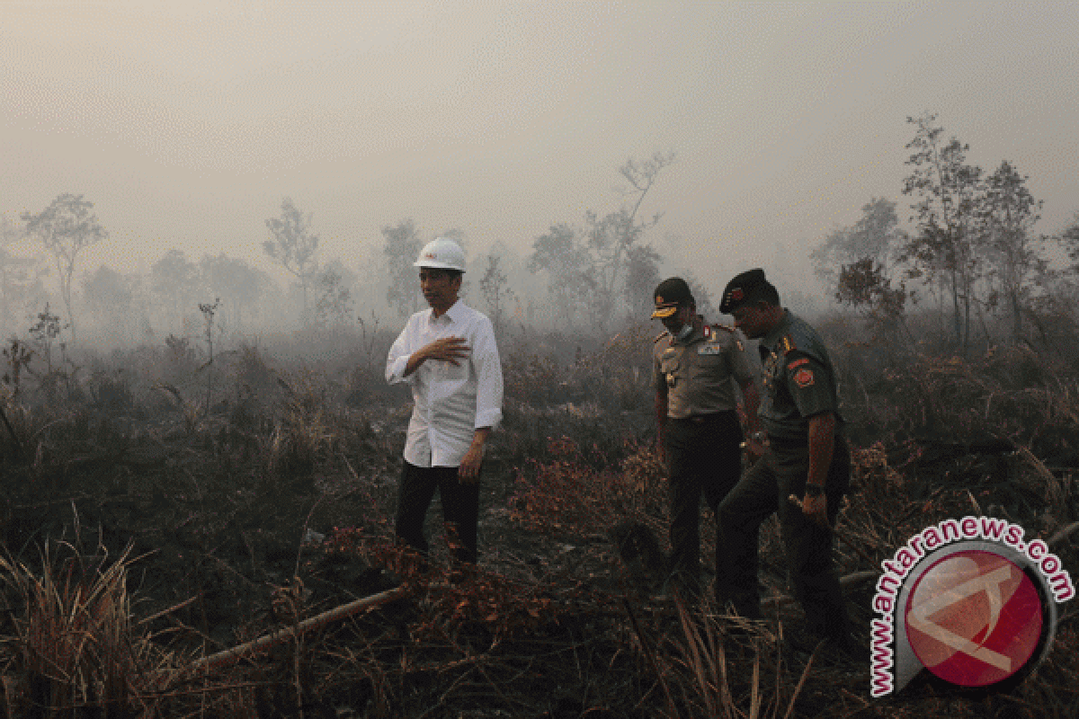 Presiden perintahkan tindak tegas perusahaan tidak patuh