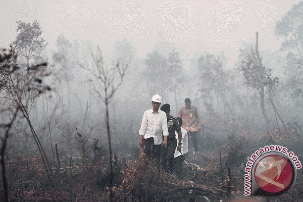 Presiden akan tinjau penanganan kebakaran hutan di Sumsel