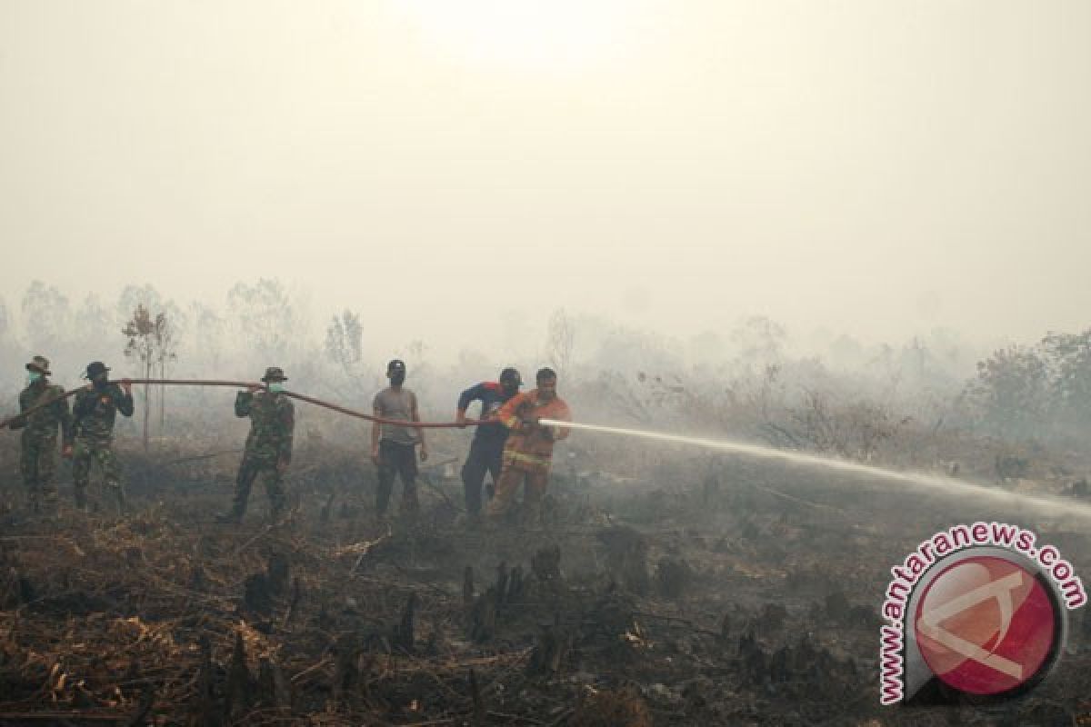TNI AL padamkan kebakaran lahan 41 ha