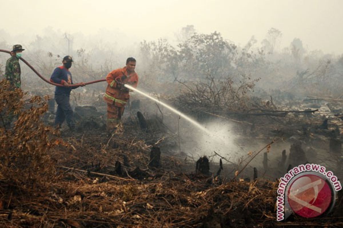 Kabut asap makin tebal selimuti sebagian Kalimantan Selatan
