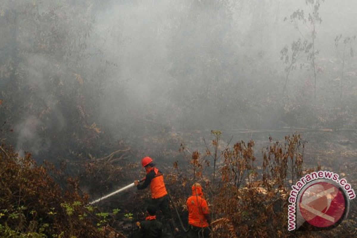 Polres Ketapang tangani laporan pidana kebakaran lahan