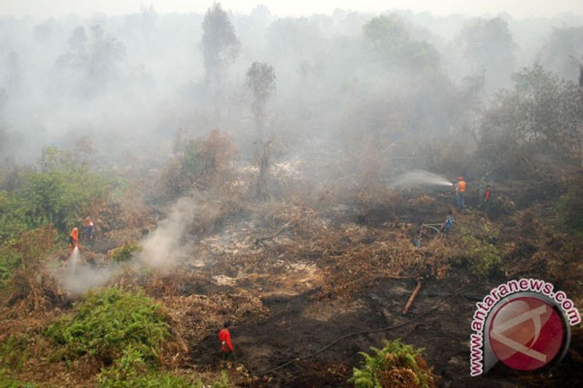 Polisi periksa saksi kasus pembakaran hutan di Jambi