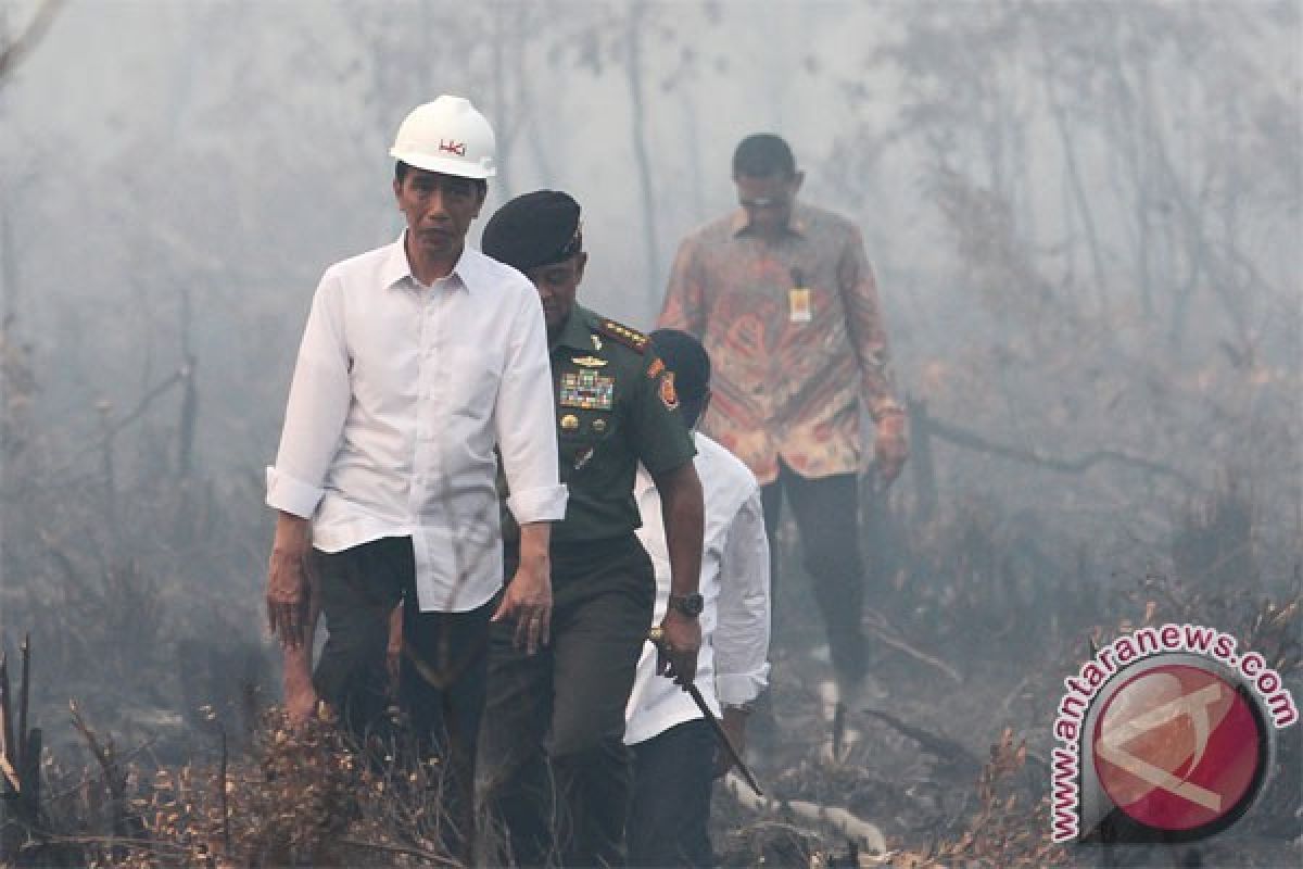 Blusukan kabut asap Jokowi menuju pengadilan kejahatan lingkungan hidup