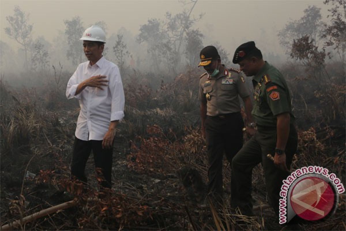 President Jokowi orders to immediately extinguish forest fires