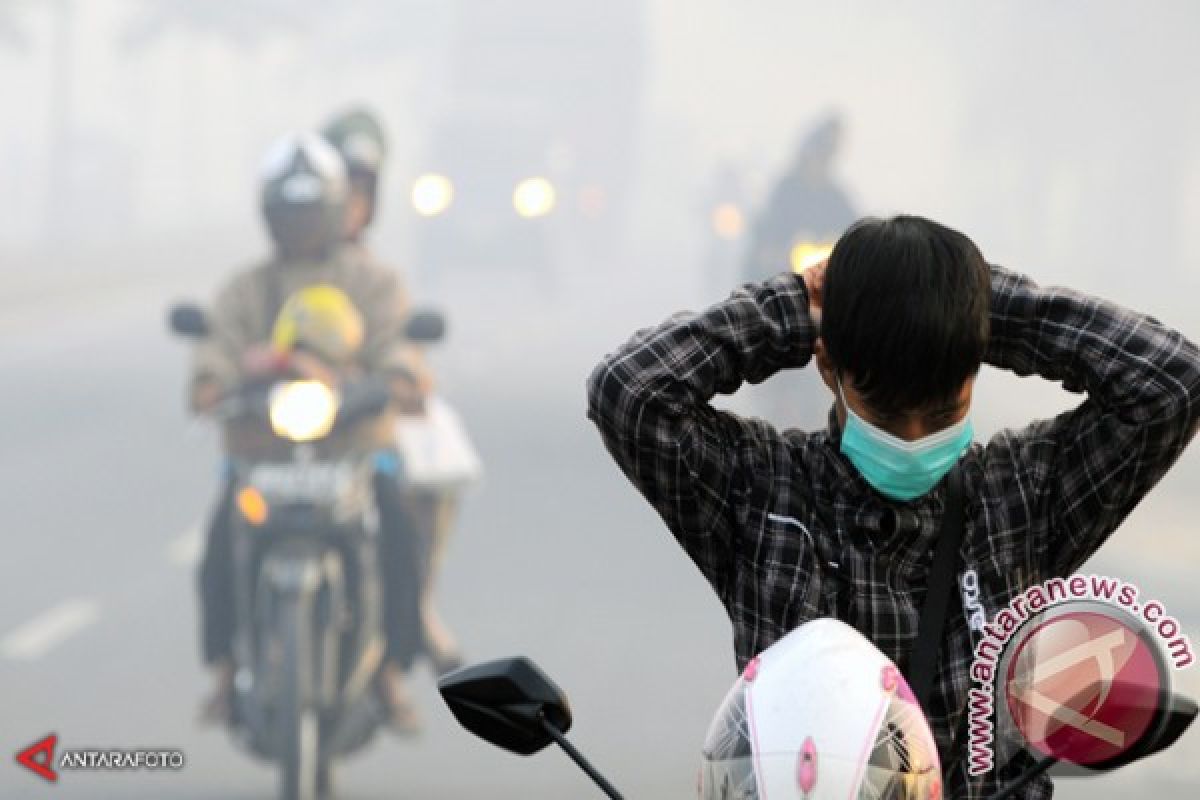 Kabut Asap Pekat Cemari Banjarbakula Kalsel