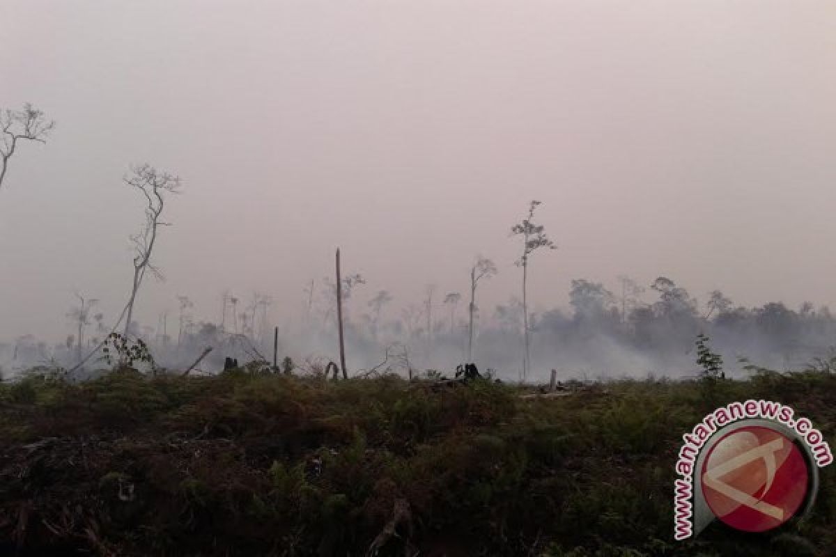 Stop pemanfaatan lahan gambut Sumsel