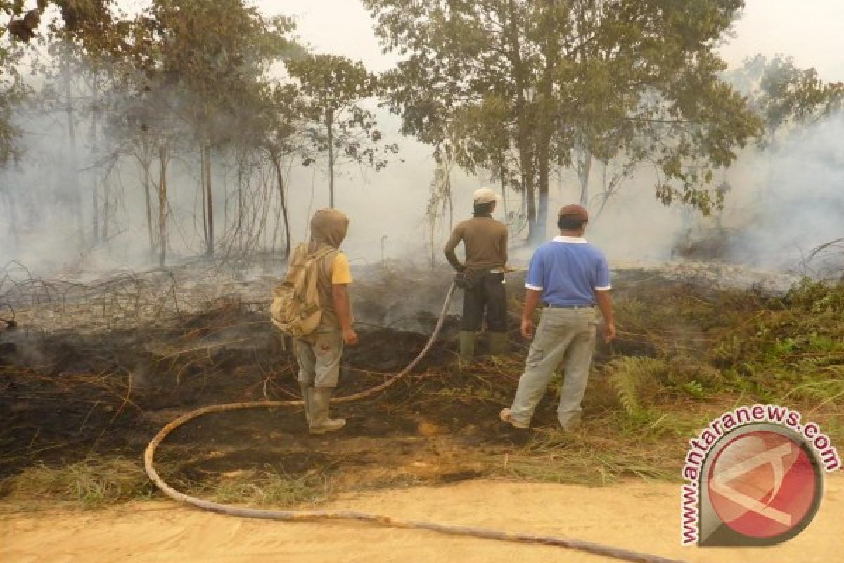 Sinar Mas Siap Padamkan Kebakaran di Area Konservasi