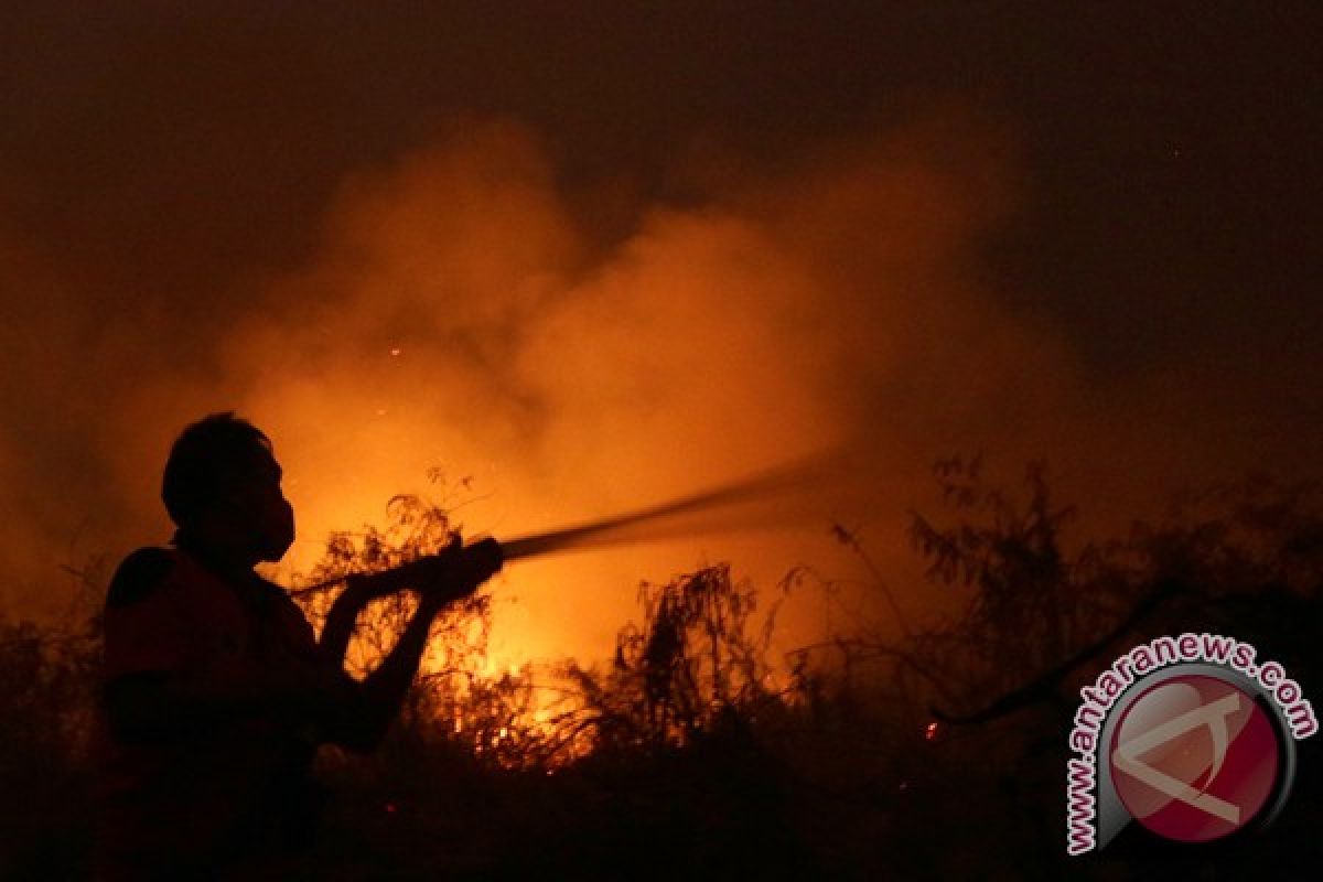 Baru tiga provinsi tetapkan siaga darurat Karhutla