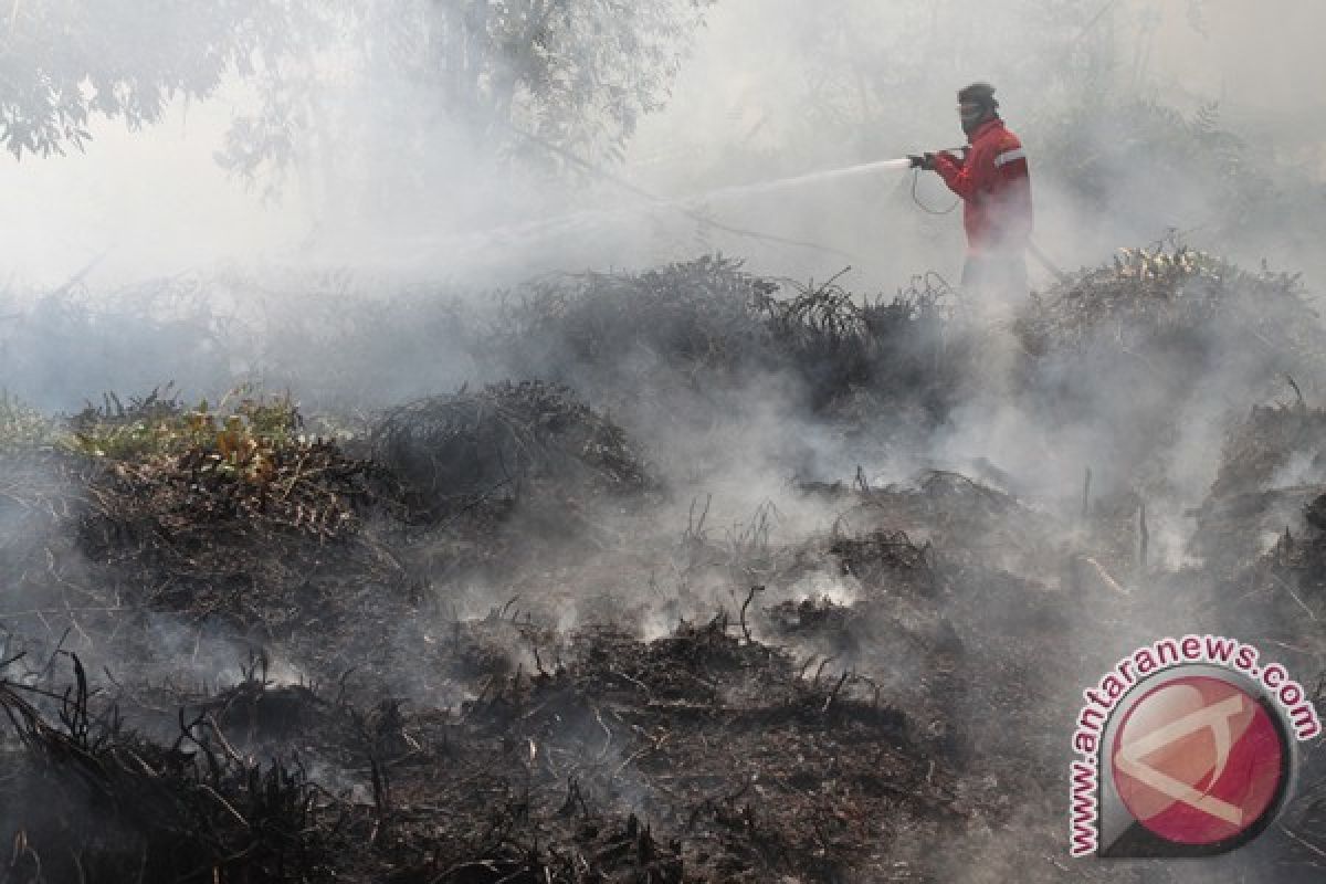 4.5 hectare land on fire in Kotabaru