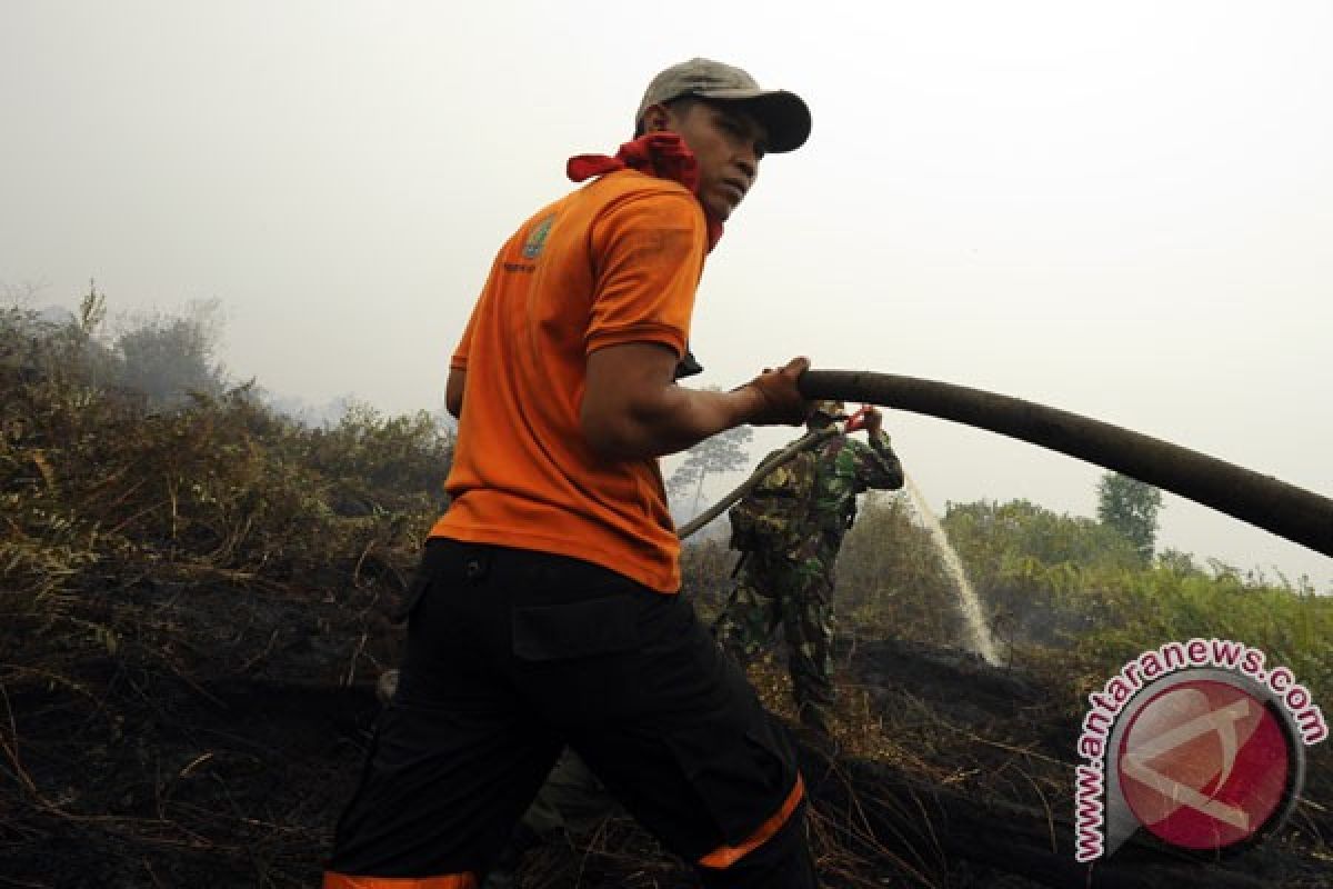 Api membakar lahan gambut sulit padam total