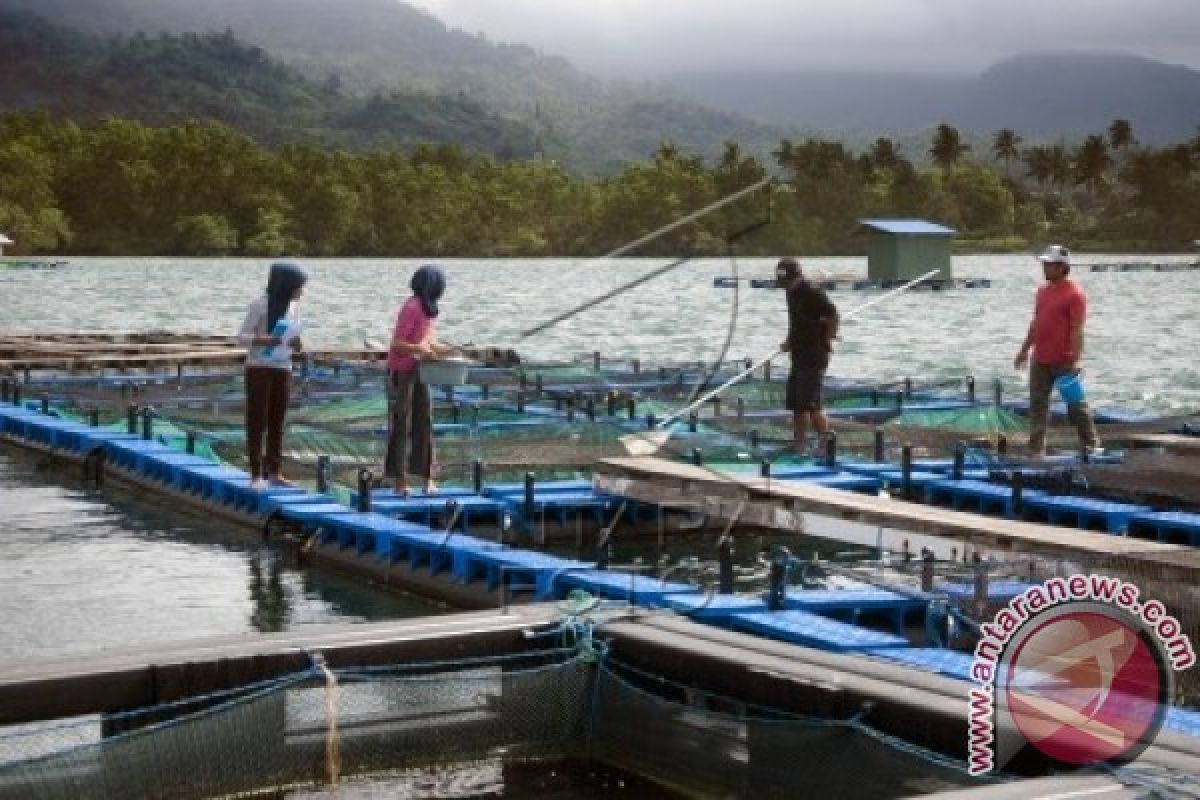 Kodam XVI/Pattimura Latih Masyarakat Olah Hasil Laut