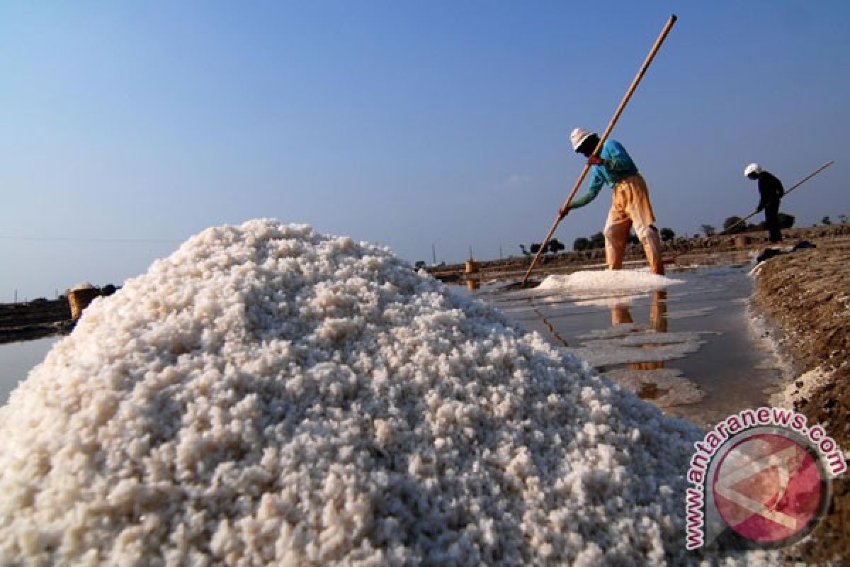 Menteri Susi targetkan produksi garam 3,3 juta ton
