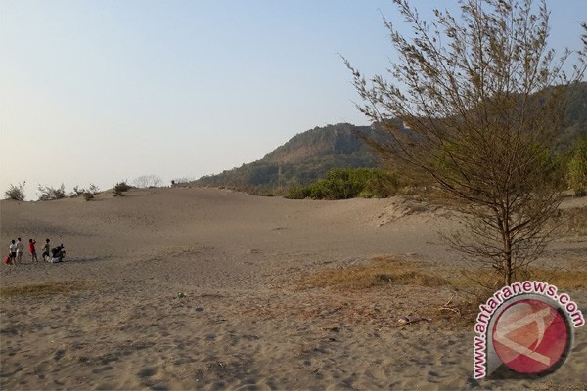 Bantul kaji penataan pohon Gumuk Pasir untuk gaet dan kenyamanan wisatawan