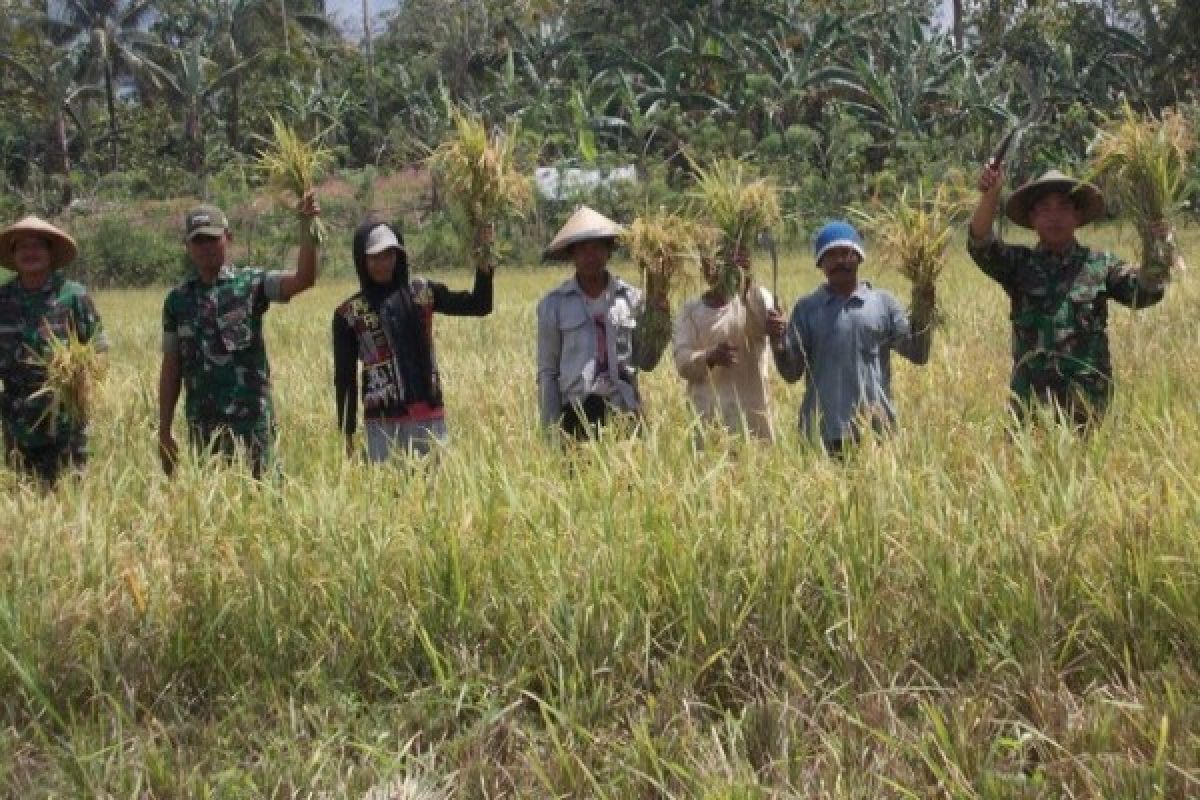 Korem Merauke optimistis realisasikan pencetakan sawah baru