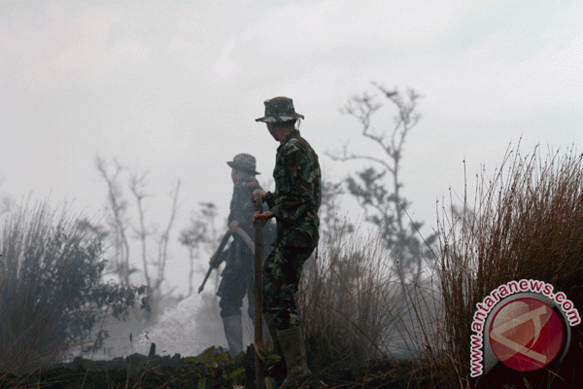 50 hektare lahan gambut terbakar di Aceh Barat